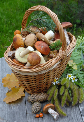 Fotolia_30976052_XS